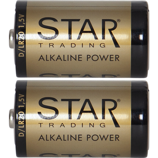 Batteri D 2-pack 1,5V Power Alkaline